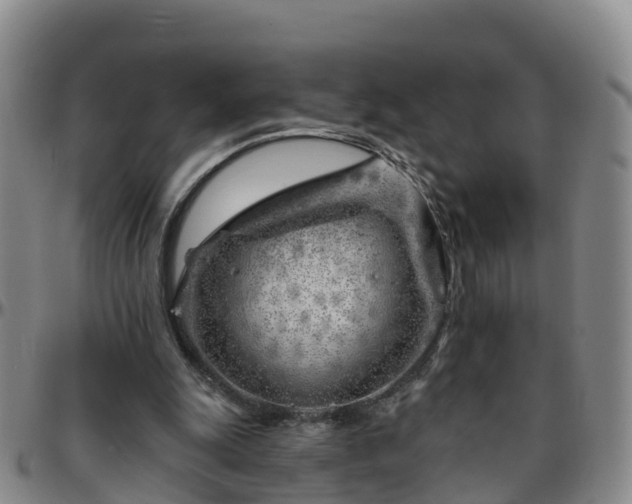 X0000096450247200801311457