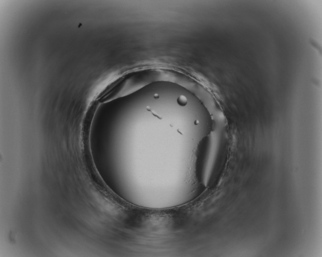 X0000096450248200801311457