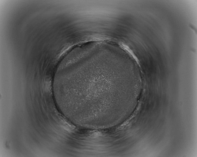 X0000096450249200801311457