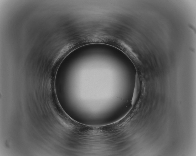 X0000096450250200801311457