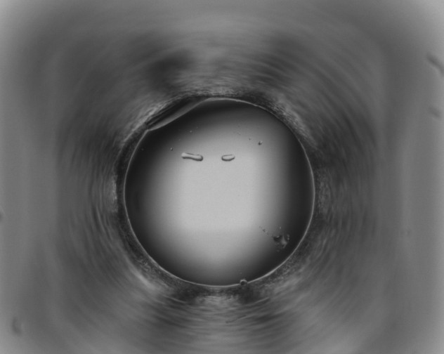 X0000096450251200801311457