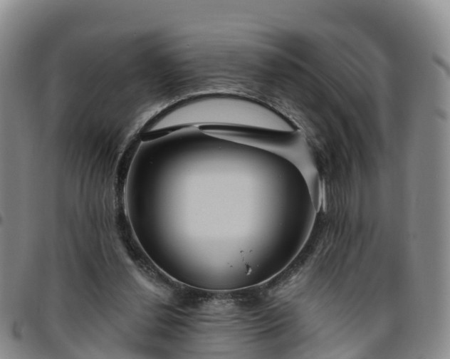 X0000096450252200801311457