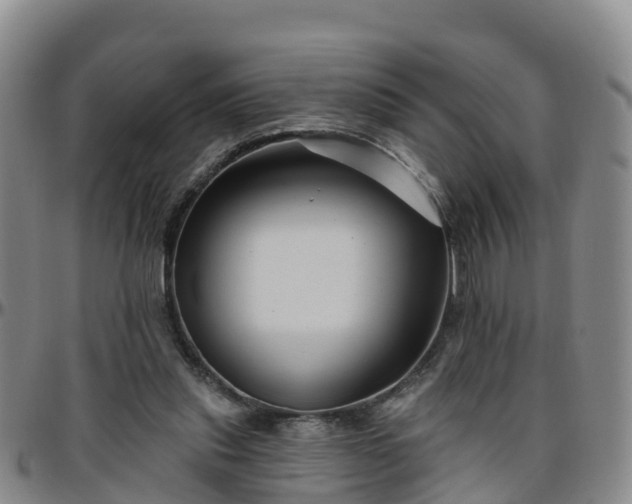 X0000096450253200801311457