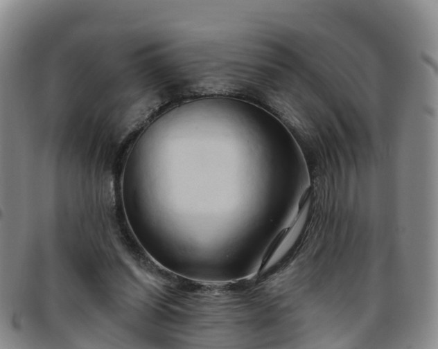 X0000096450254200801311457