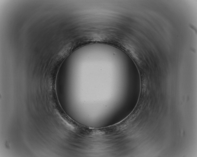 X0000096450257200801311457