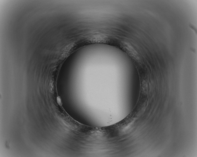 X0000096450259200801311457