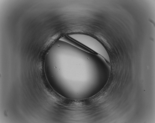 X0000096450260200801311457