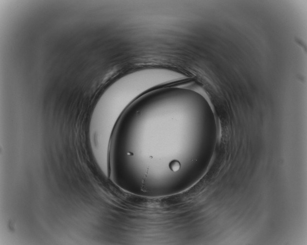 X0000096450264200801311457