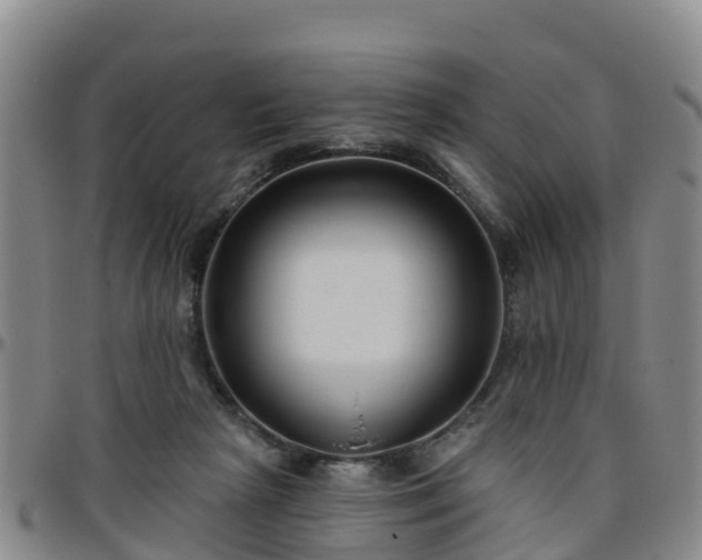 X0000096450265200801311457