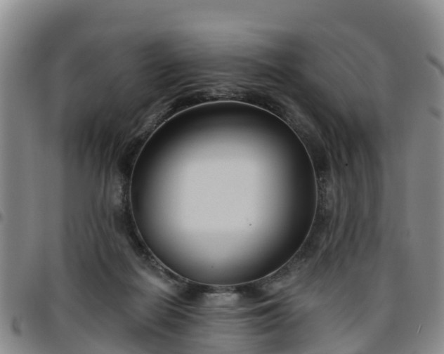 X0000096450266200801311457