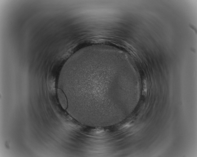 X0000096450267200801311457