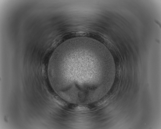 X0000096450270200801311457