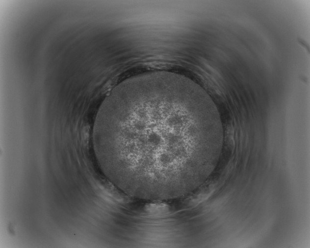 X0000096450271200801311457