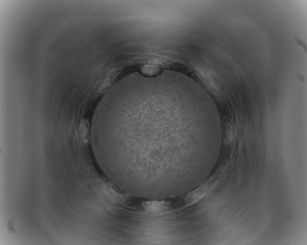 X0000096450273200801311457