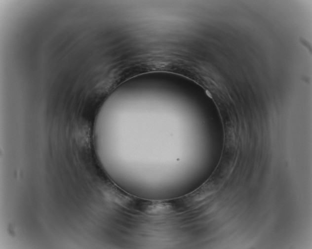 X0000096450274200801311457