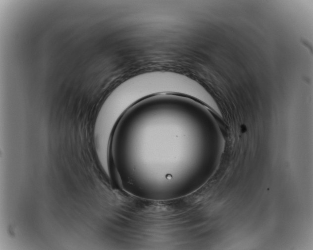 X0000096450276200801311457