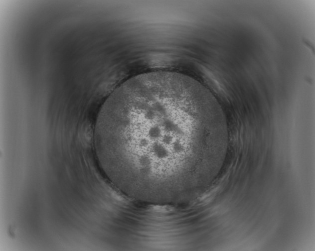 X0000096450277200801311457