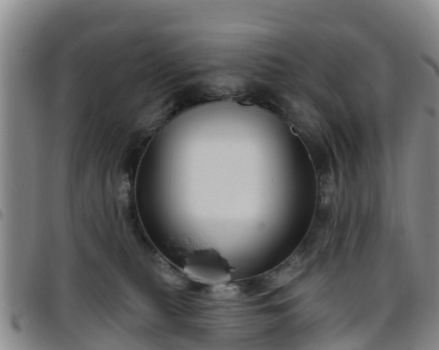 X0000096450279200801311457