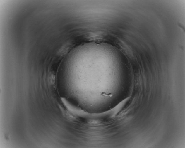 X0000096450281200801311457