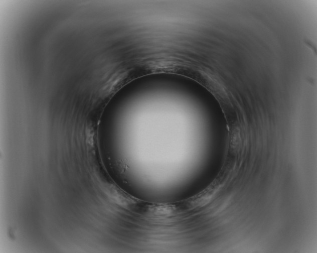 X0000096450282200801311457