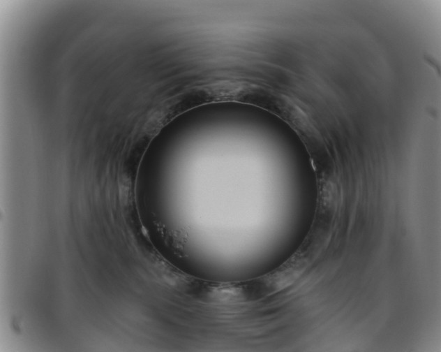 X0000096450283200801311457