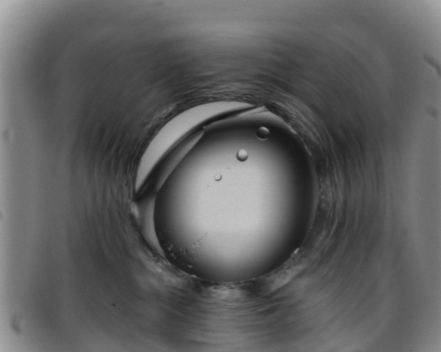 X0000096450284200801311457