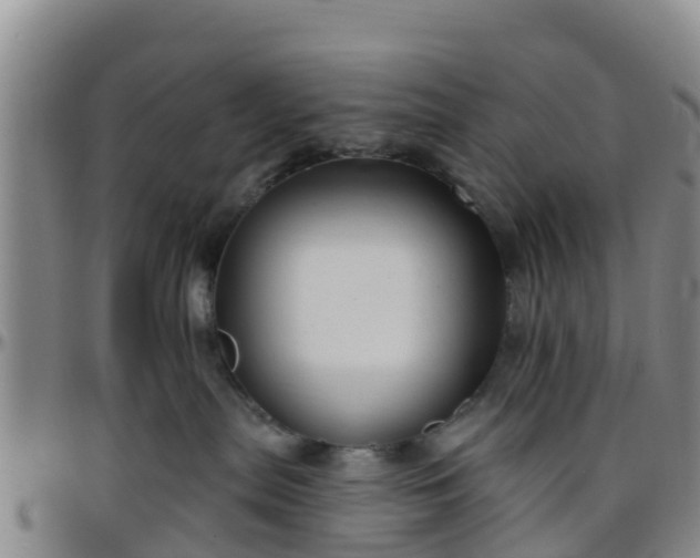 X0000096450287200801311457