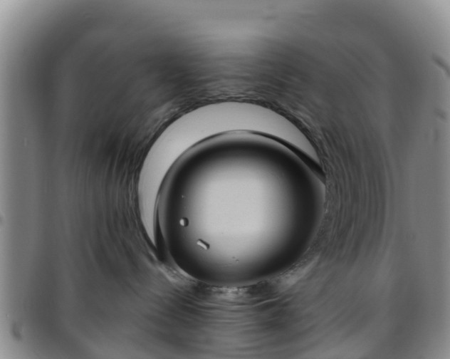 X0000096450288200801311457