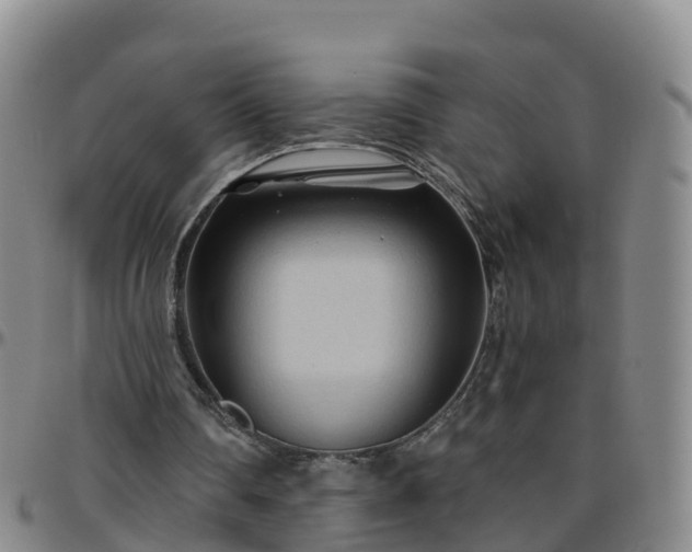 X0000096450290200801311457