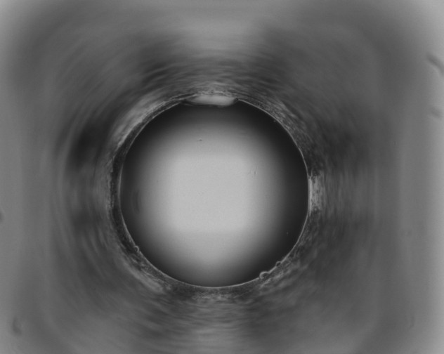 X0000096450291200801311456