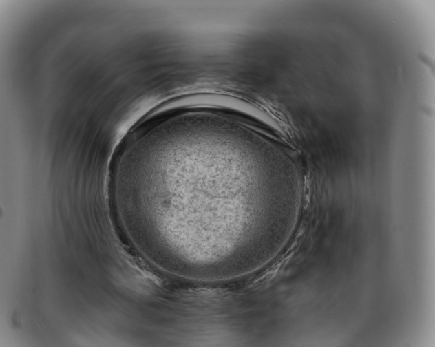 X0000096450292200801311456