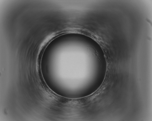 X0000096450294200801311456