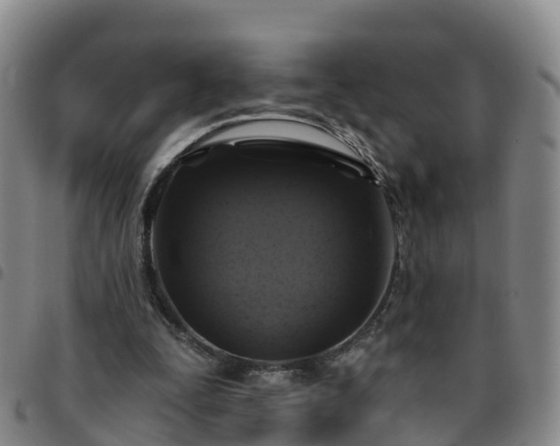 X0000096450295200801311456