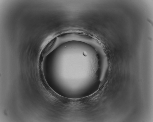 X0000096450296200801311456