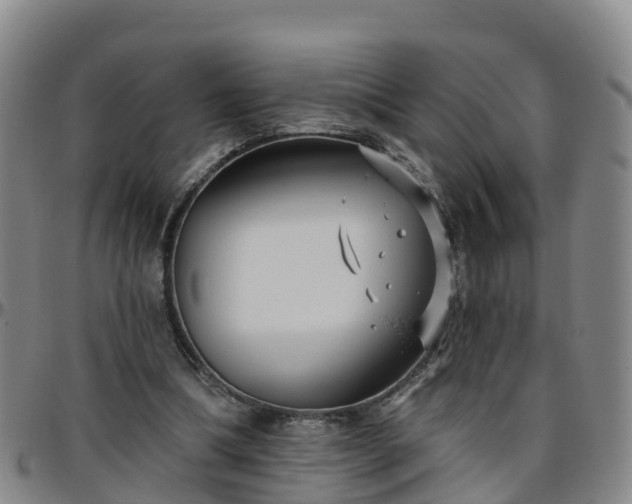 X0000096450298200801311456