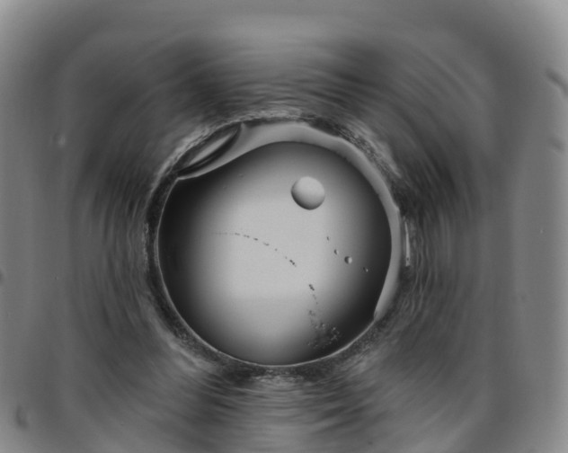 X0000096450300200801311456