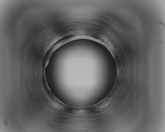 X0000096450301200801311456