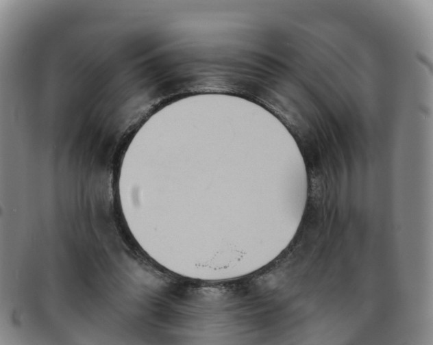 X0000096450302200801311456