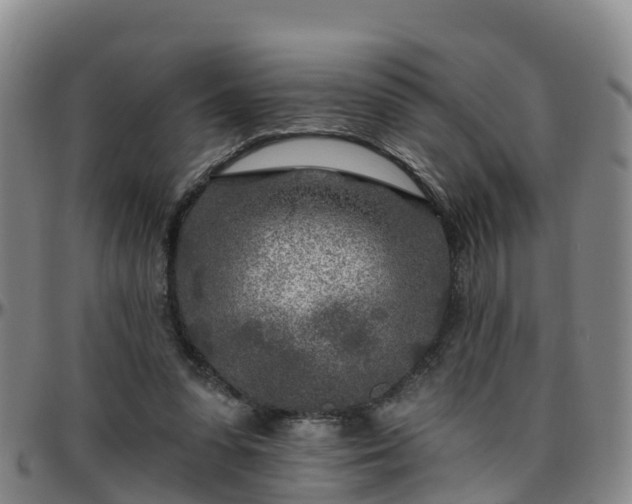 X0000096450303200801311456