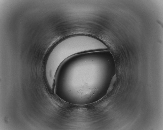 X0000096450304200801311456