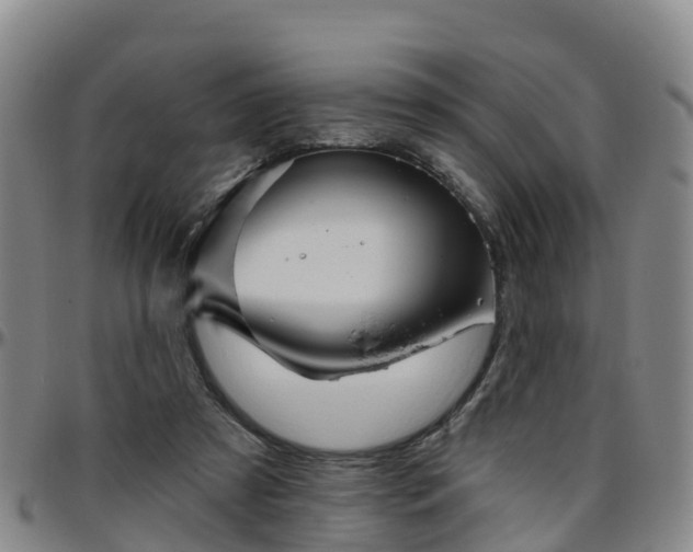 X0000096450305200801311456