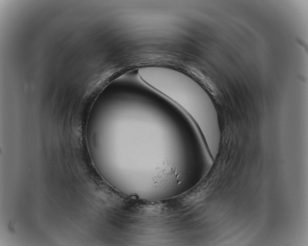 X0000096450306200801311456