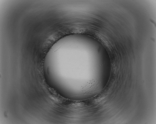 X0000096450307200801311456