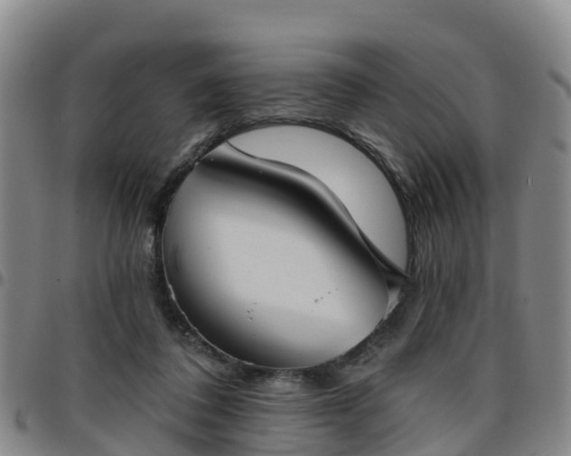 X0000096450308200801311456