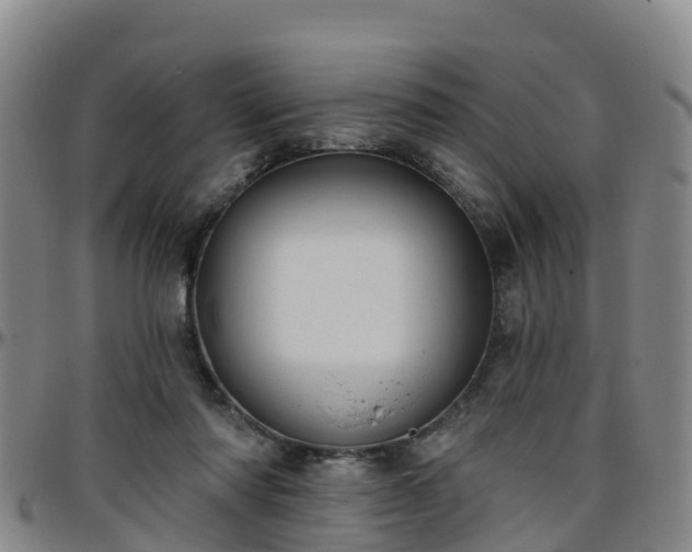 X0000096450310200801311456