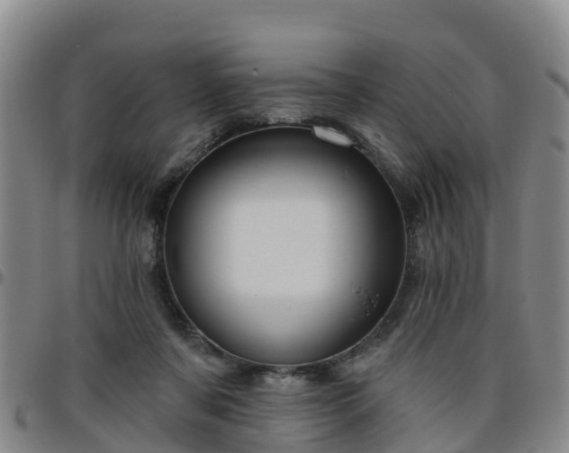 X0000096450311200801311456