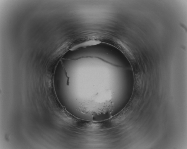 X0000096450313200801311456