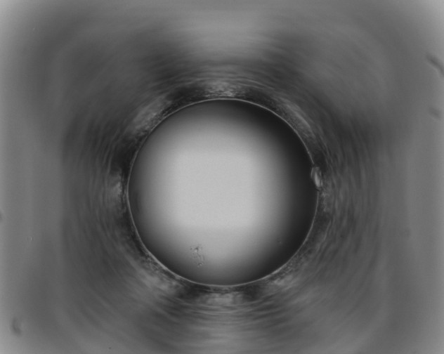 X0000096450314200801311456