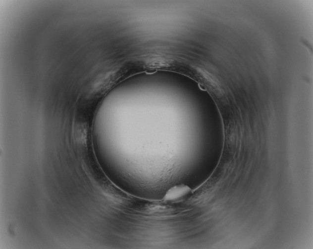 X0000096450315200801311456