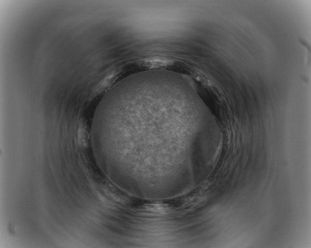 X0000096450316200801311456